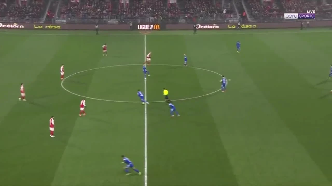 zaslepka skrotu video