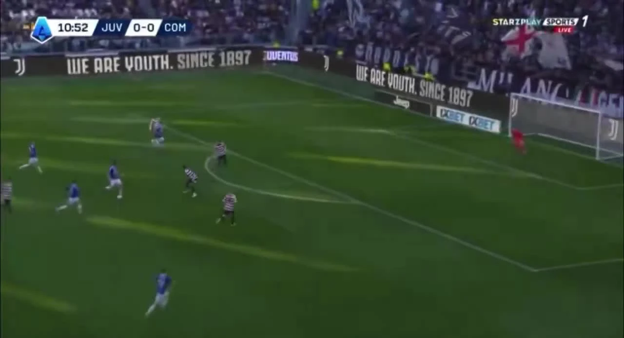 zaslepka skrotu video