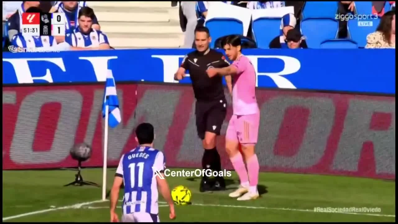 zaslepka skrotu video