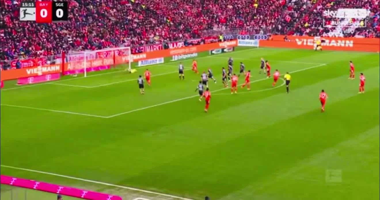 zaslepka skrotu video