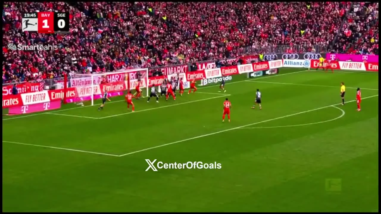 zaslepka skrotu video