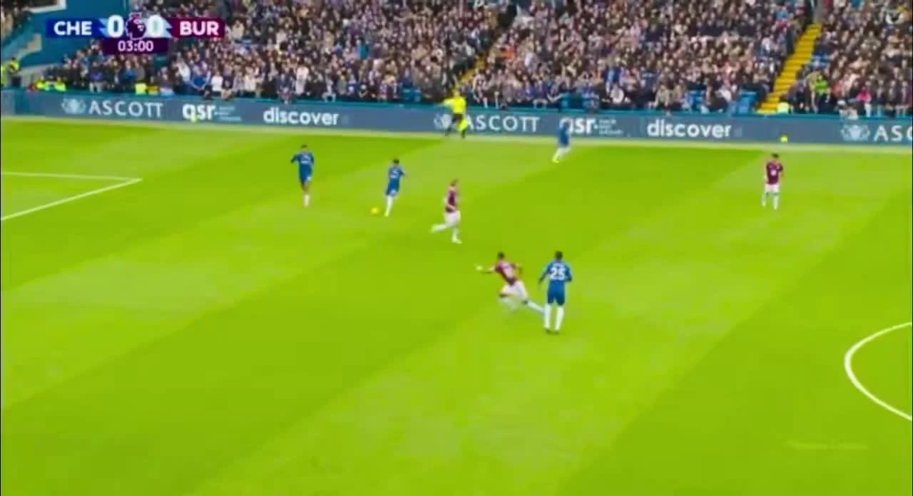 zaslepka skrotu video