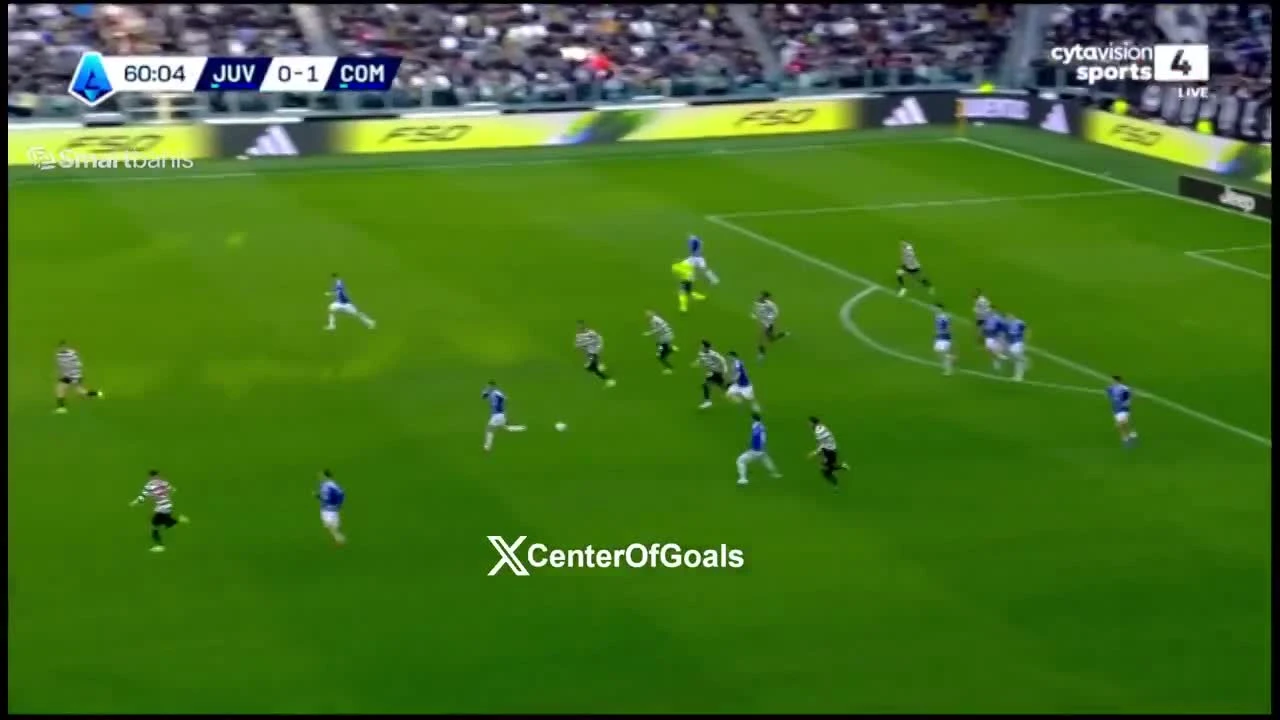 zaslepka skrotu video