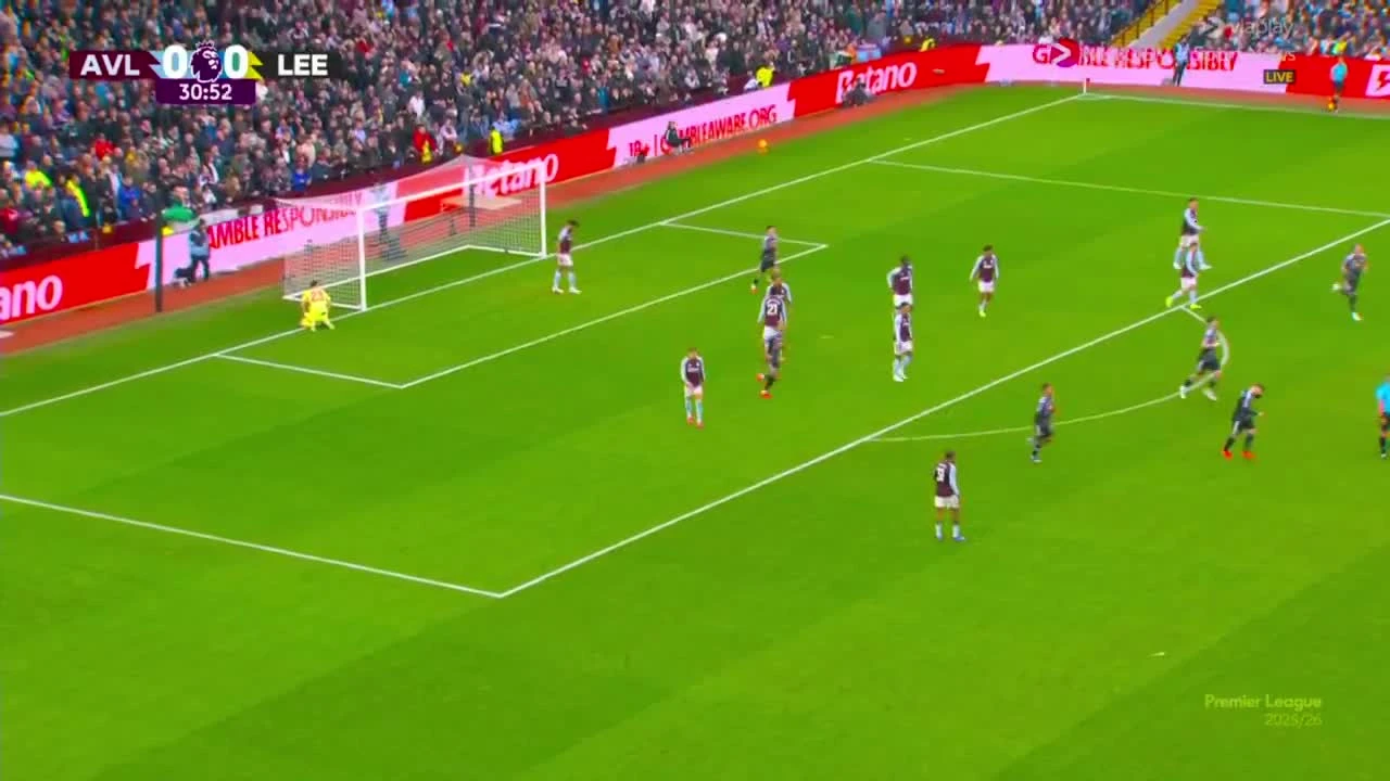 zaslepka skrotu video