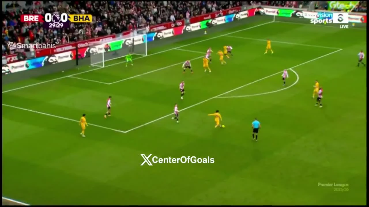 zaslepka skrotu video