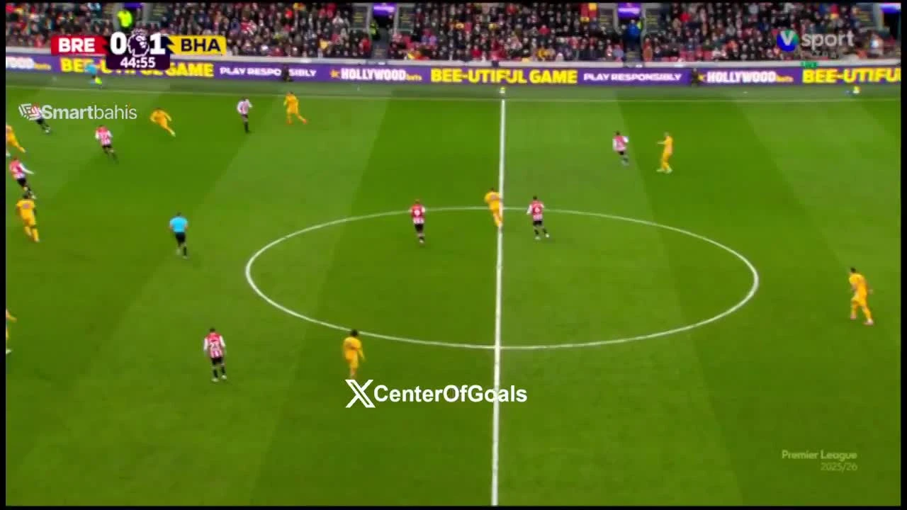 zaslepka skrotu video