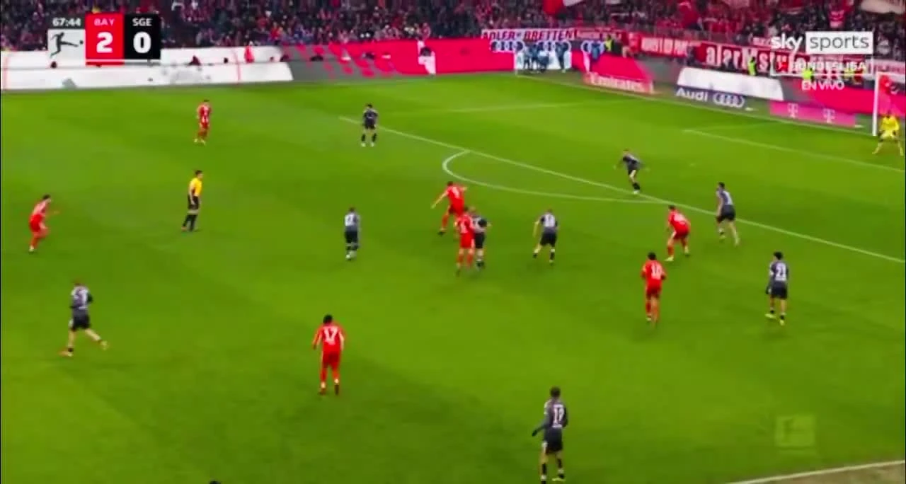 zaslepka skrotu video