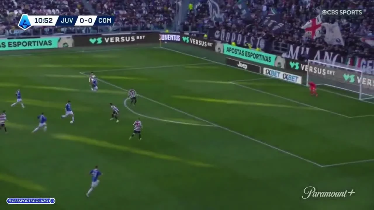 zaslepka skrotu video