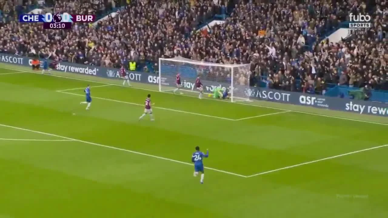 zaslepka skrotu video