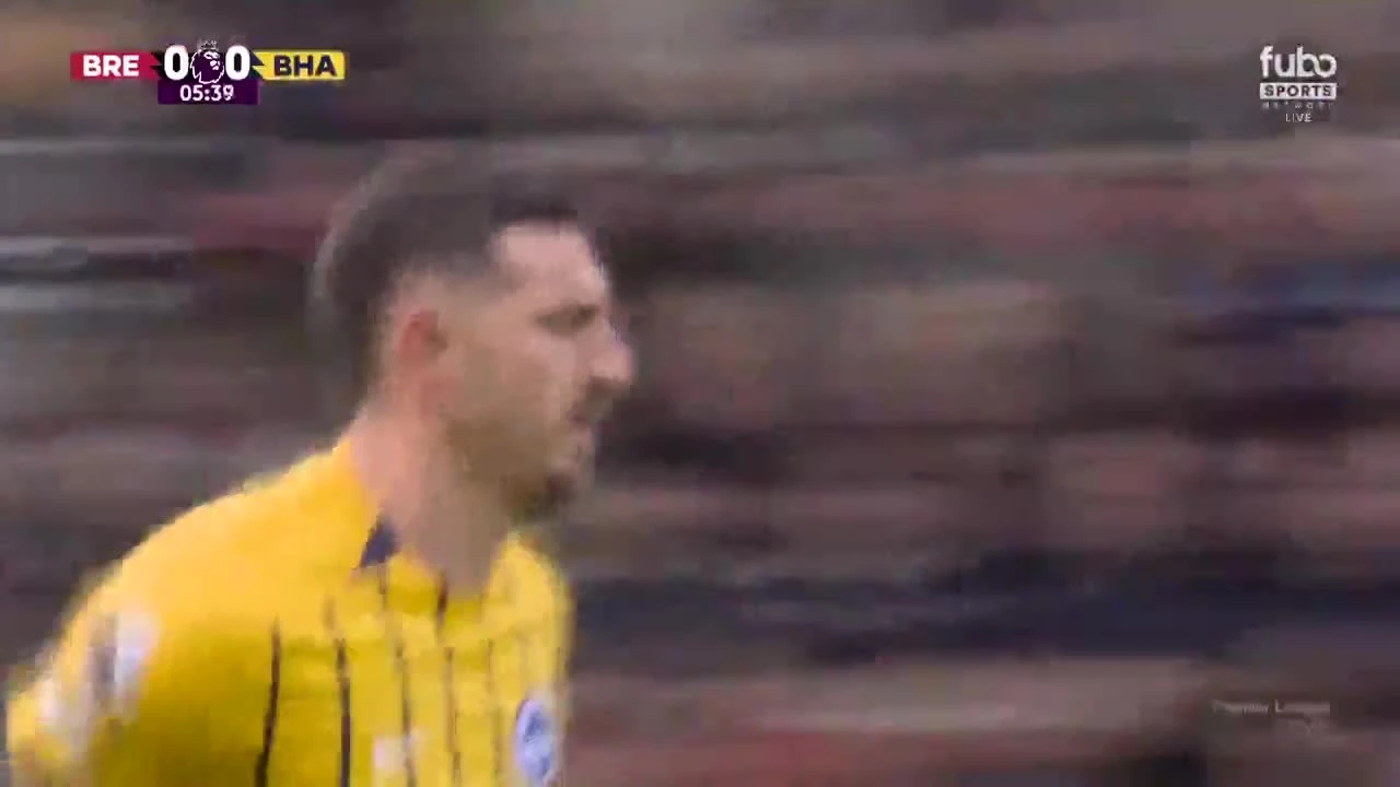 zaslepka skrotu video