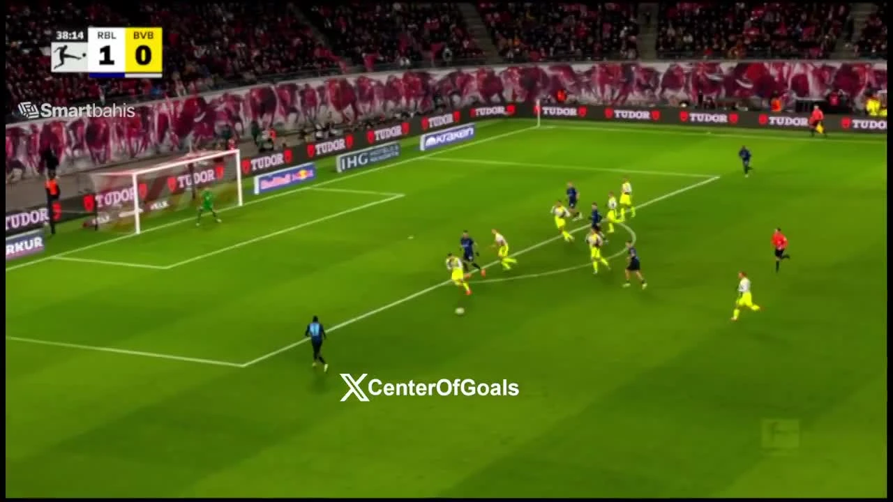 zaslepka skrotu video