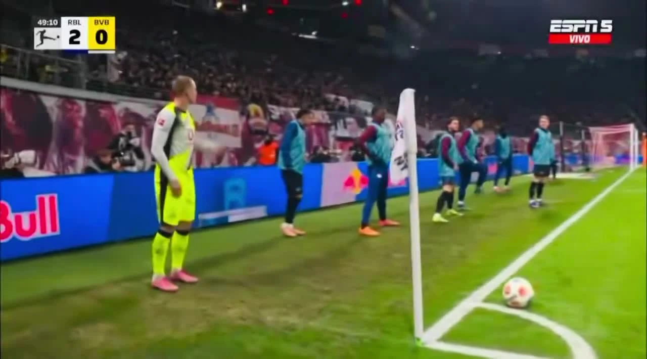 zaslepka skrotu video