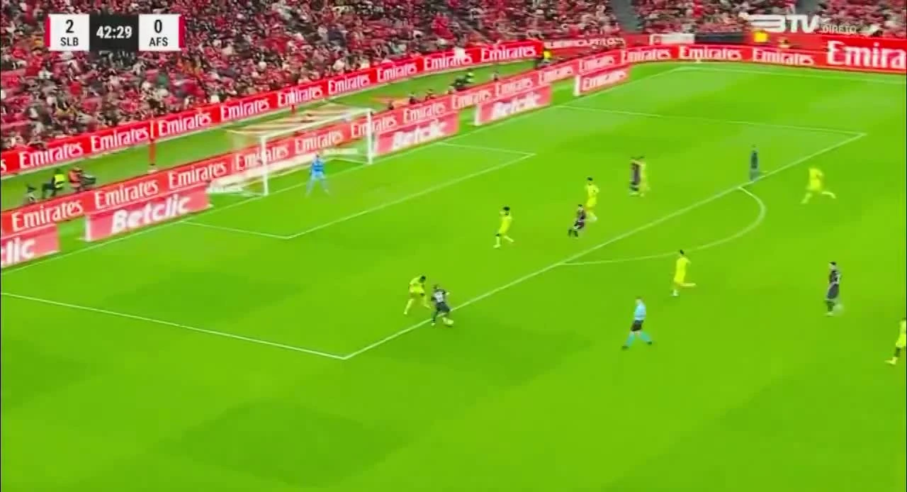 zaslepka skrotu video