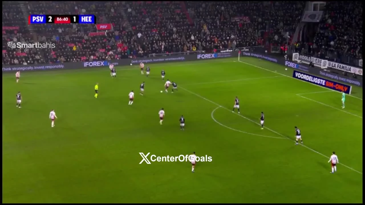 zaslepka skrotu video