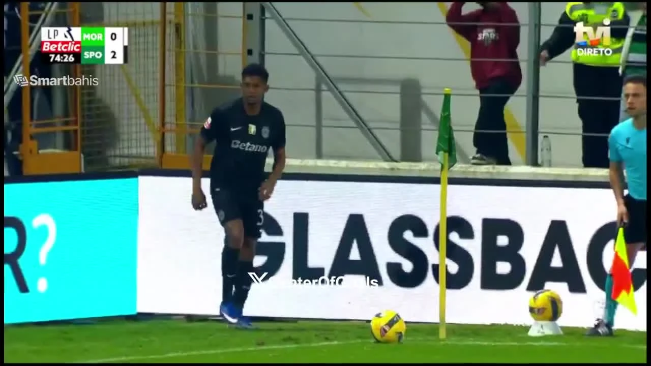 zaslepka skrotu video