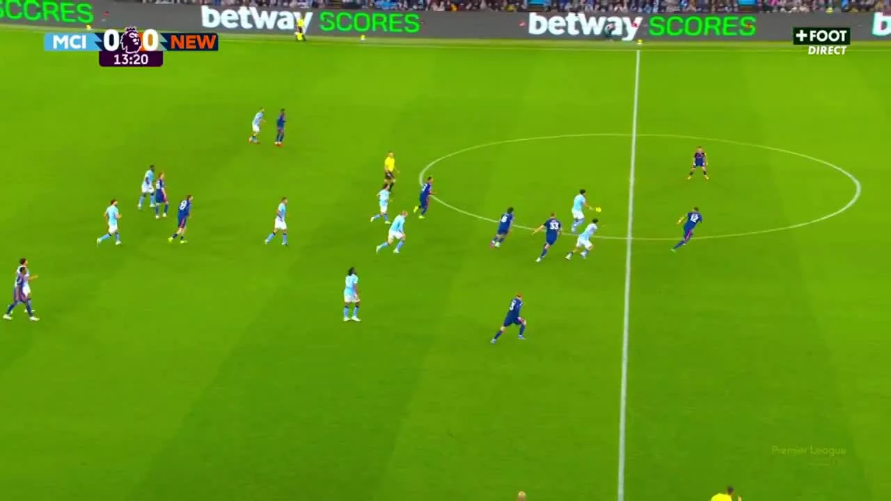 zaslepka skrotu video