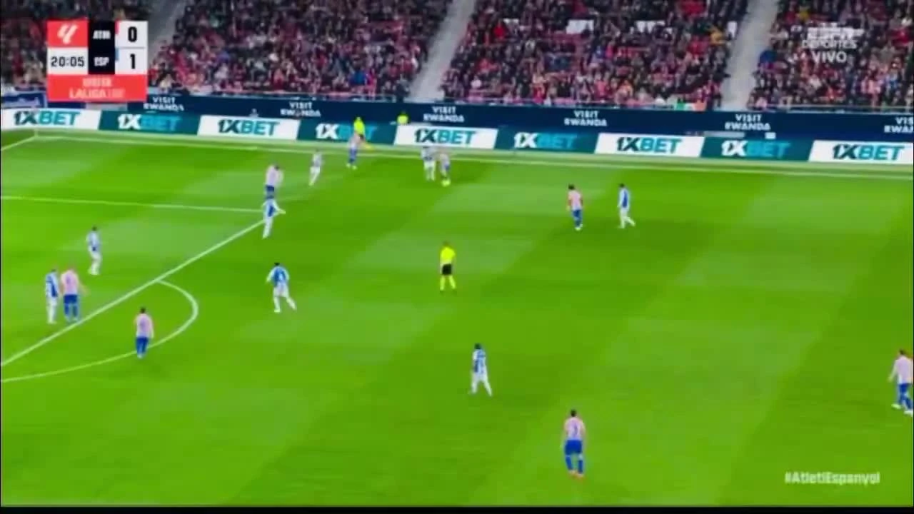 zaslepka skrotu video