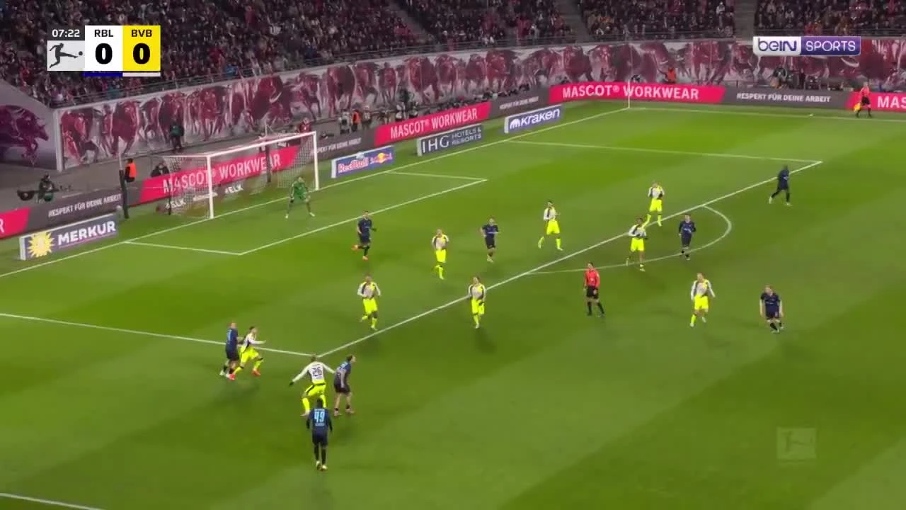 zaslepka skrotu video