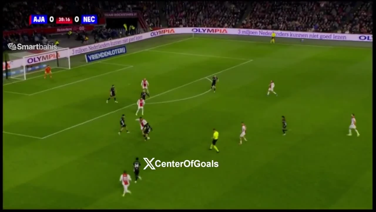 zaslepka skrotu video