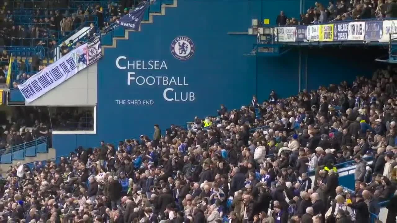 zaslepka skrotu video