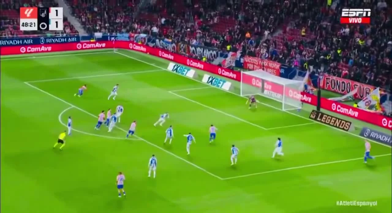 zaslepka skrotu video