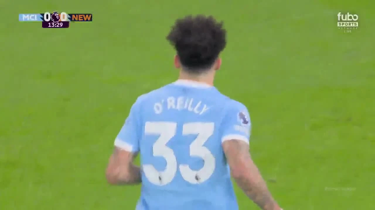 zaslepka skrotu video