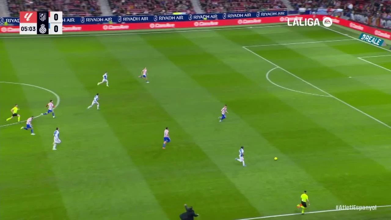 zaslepka skrotu video