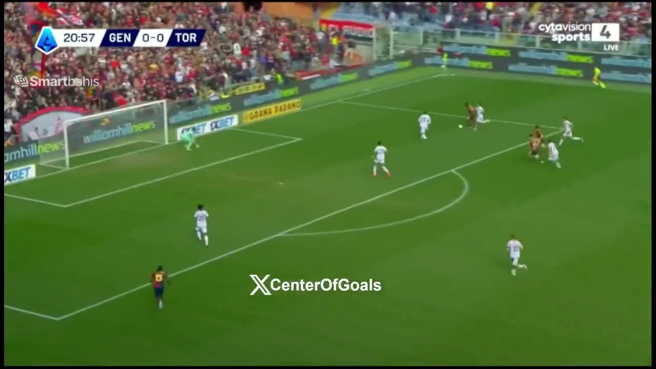 zaslepka skrotu video