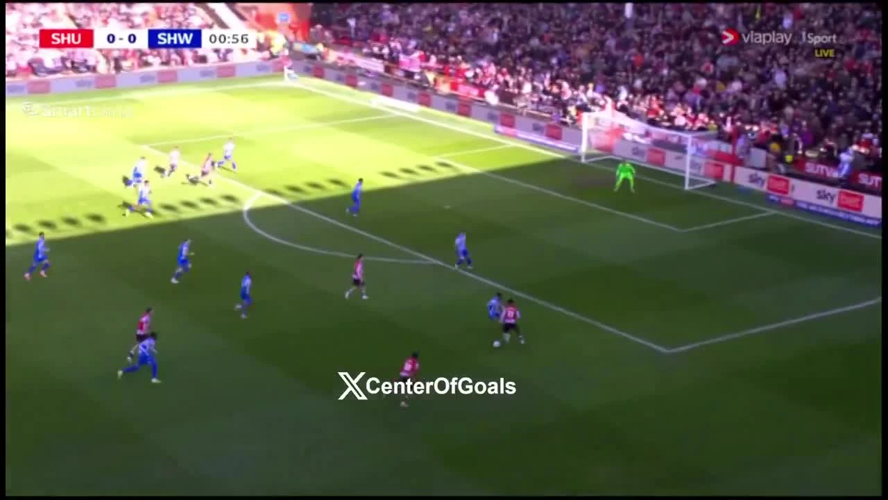 zaslepka skrotu video