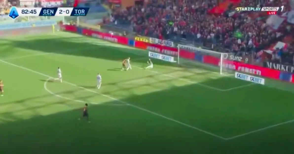 zaslepka skrotu video