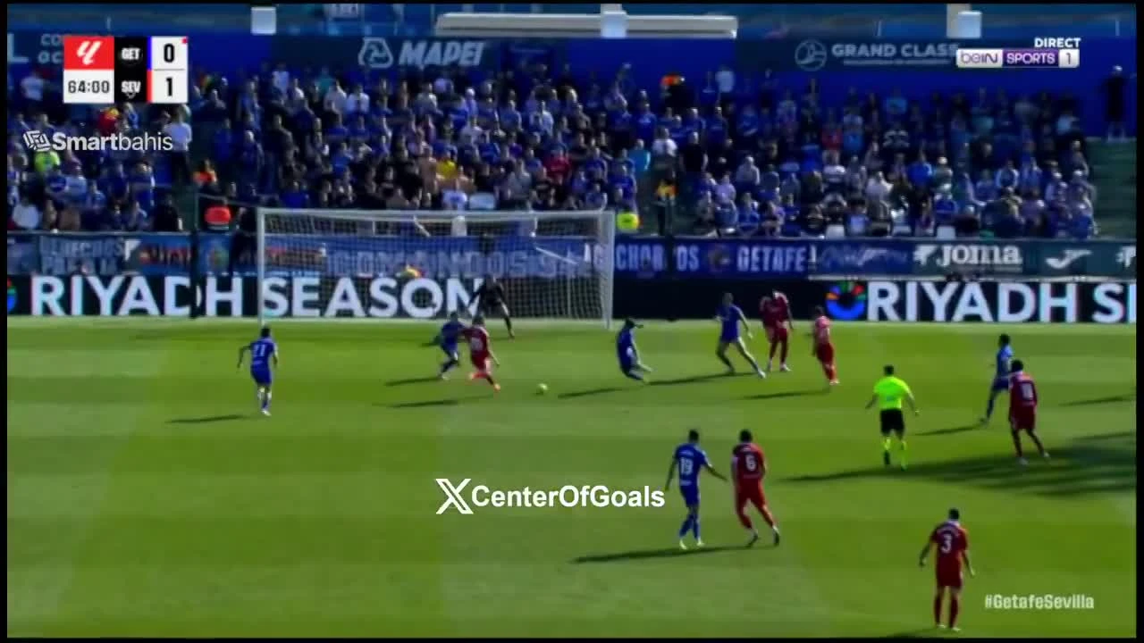 zaslepka skrotu video