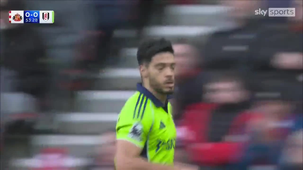 zaslepka skrotu video