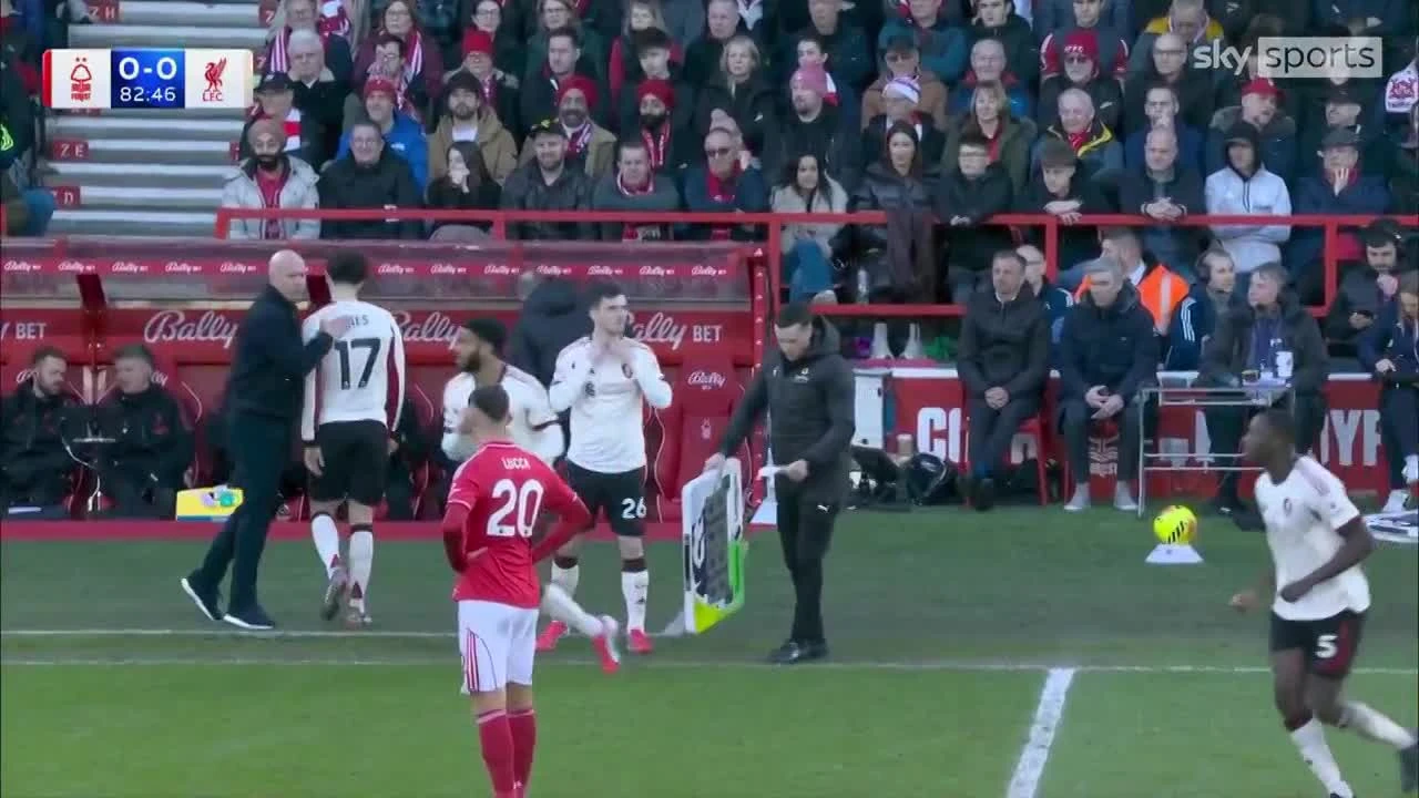 zaslepka skrotu video