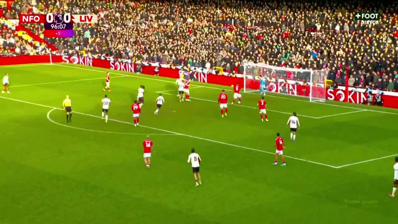 zaslepka skrotu video