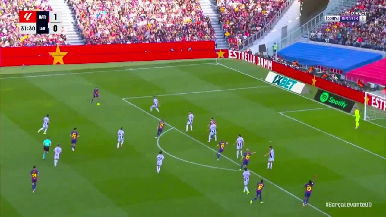 zaslepka skrotu video