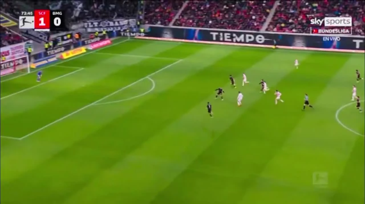 zaslepka skrotu video