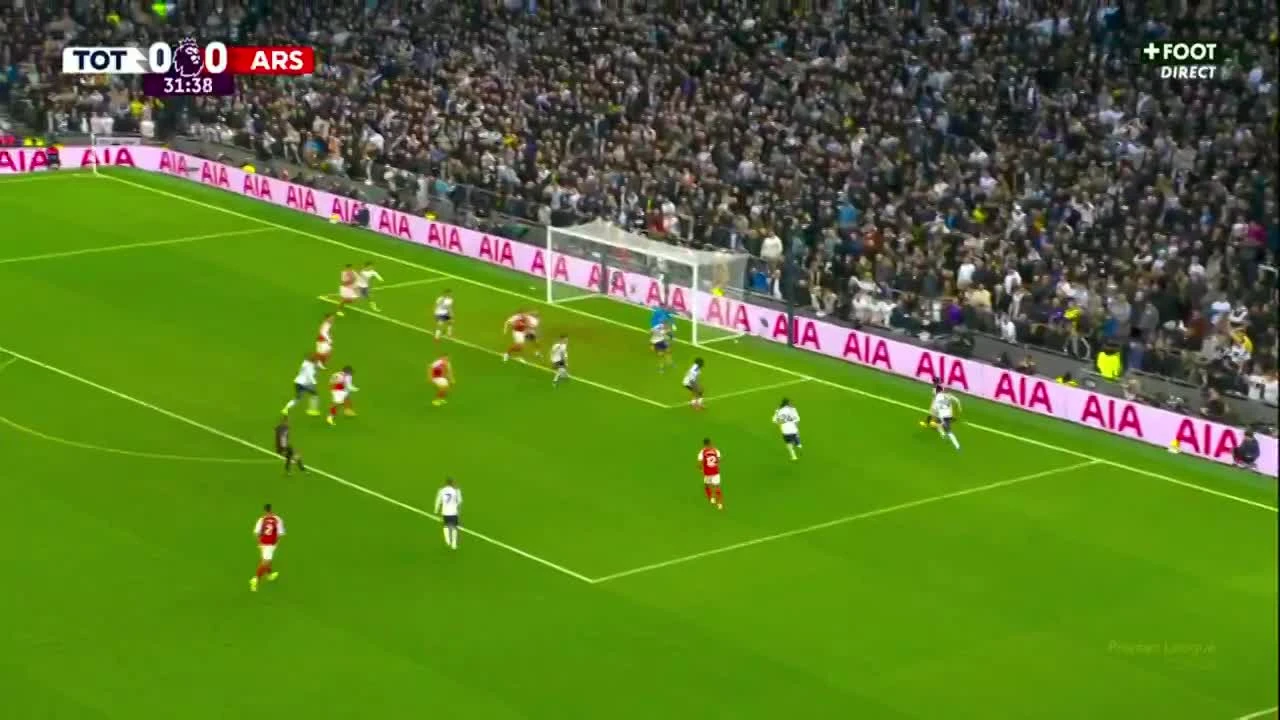 zaslepka skrotu video