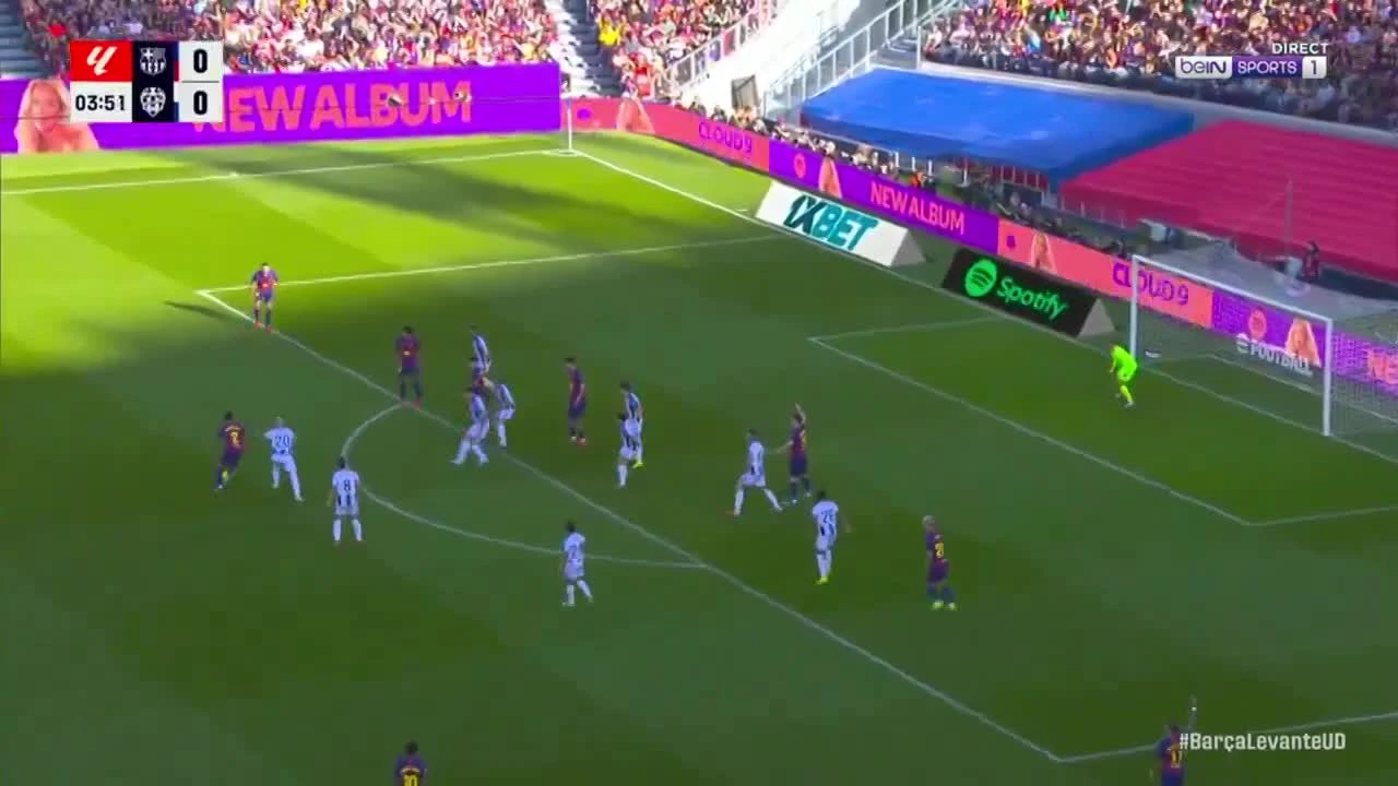 zaslepka skrotu video