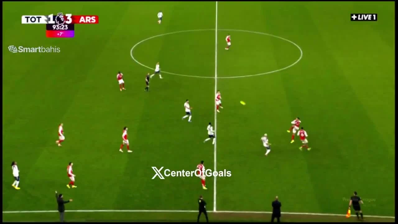 zaslepka skrotu video