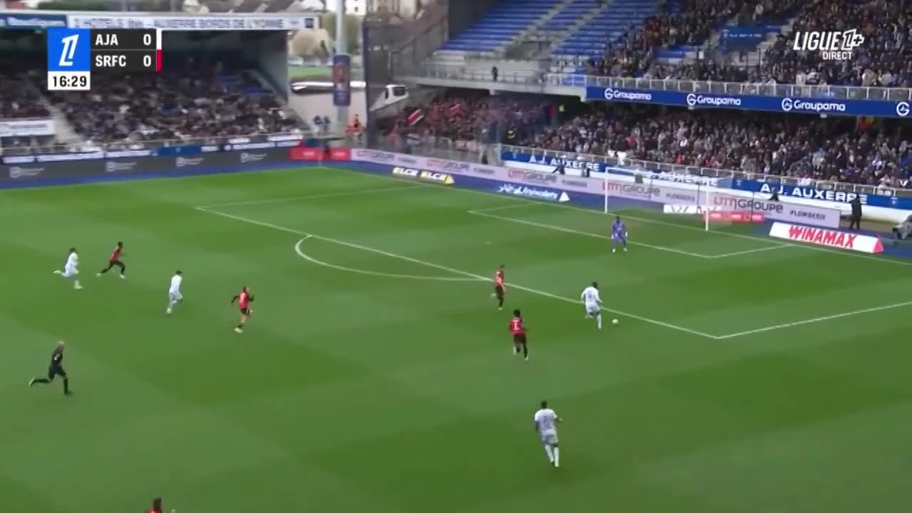 zaslepka skrotu video