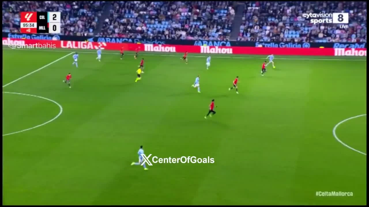 zaslepka skrotu video