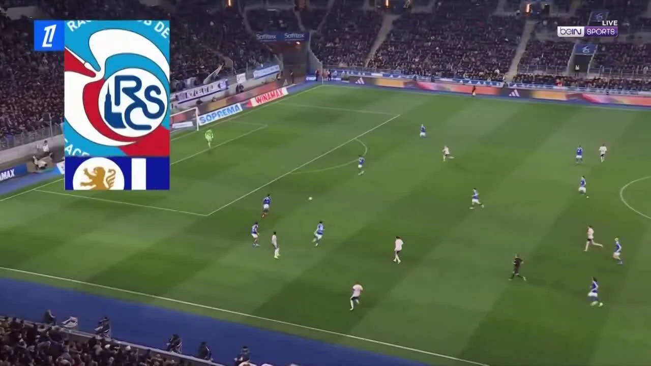 zaslepka skrotu video