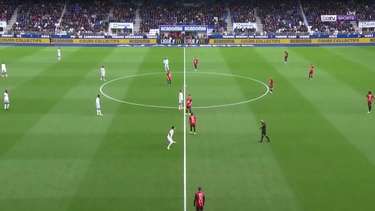 zaslepka skrotu video