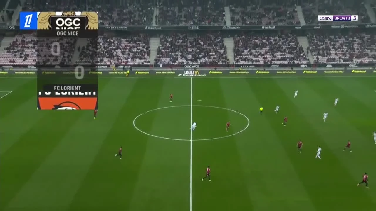 zaslepka skrotu video