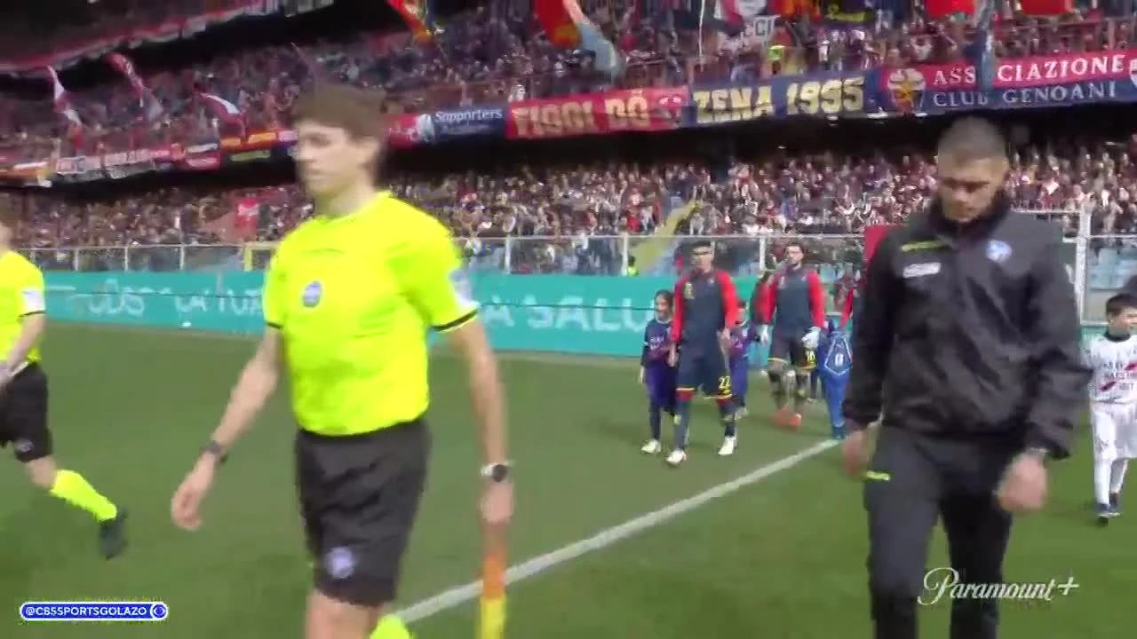 zaslepka skrotu video