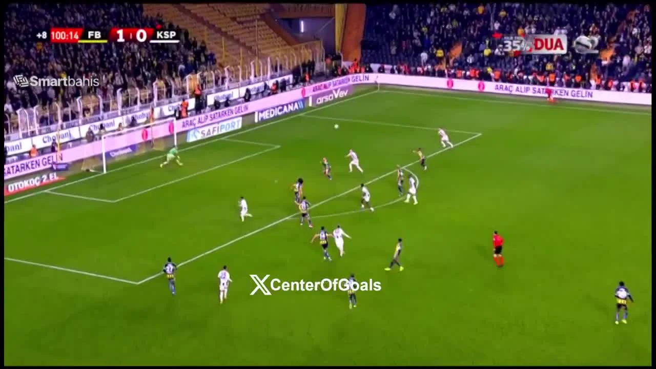 zaslepka skrotu video