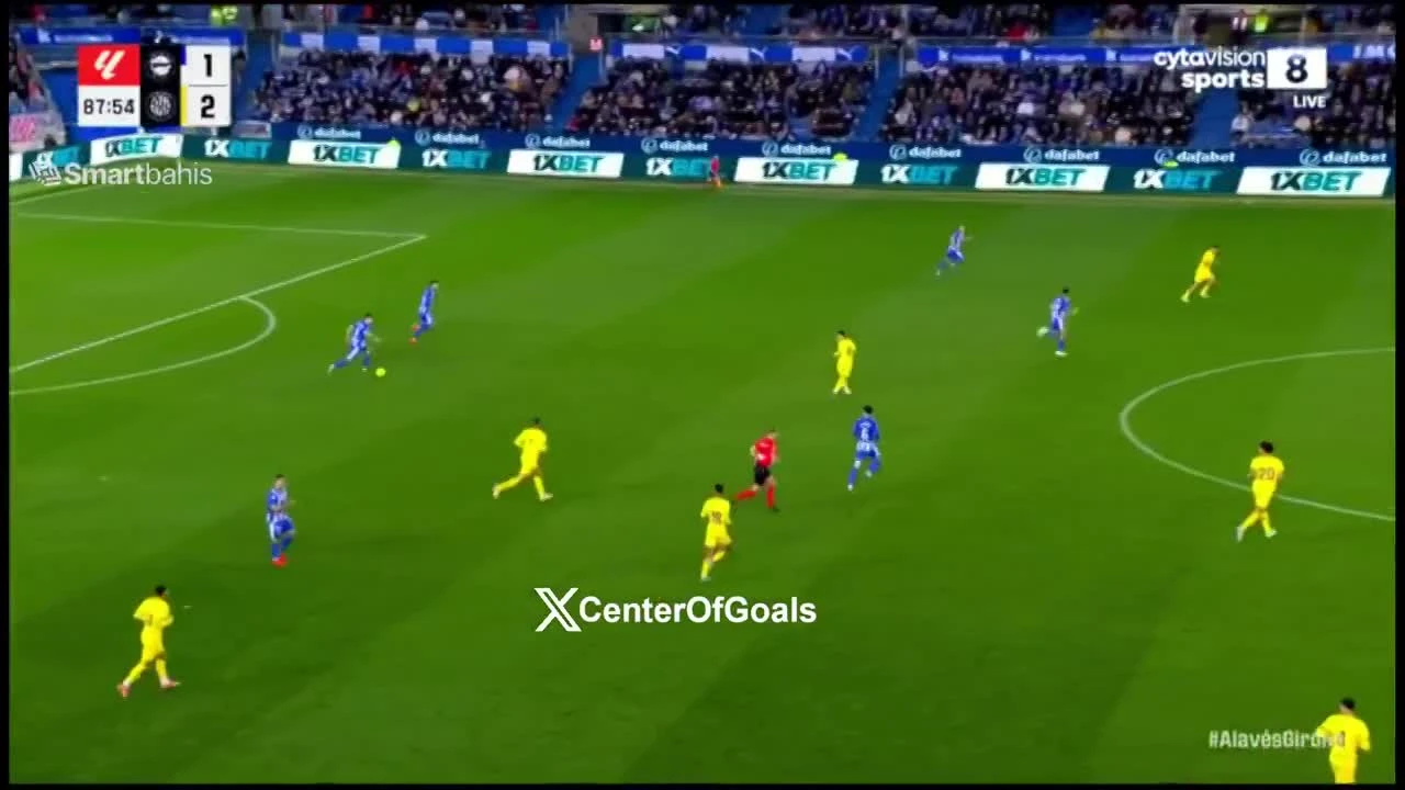 zaslepka skrotu video