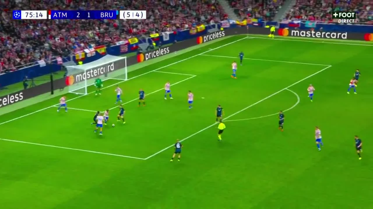 zaslepka skrotu video