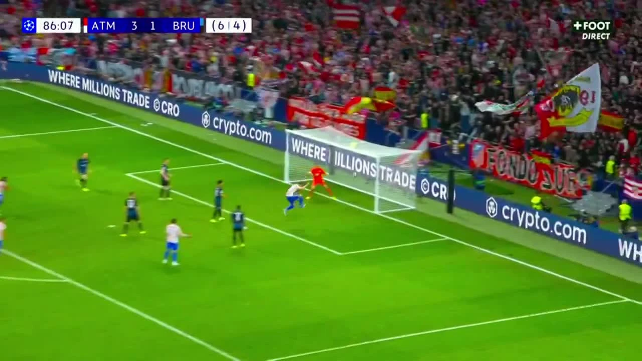 zaslepka skrotu video