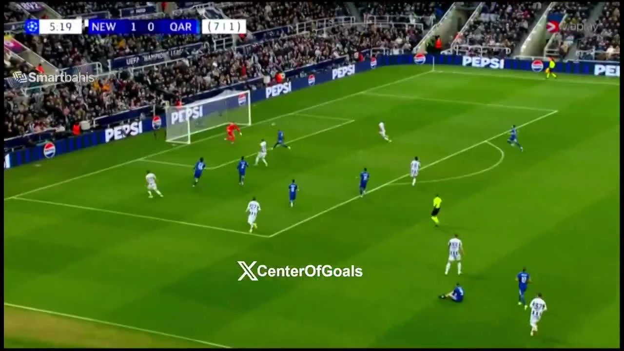 zaslepka skrotu video